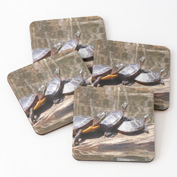 Item preview, Pond Turtles designed and sold by imphavok.