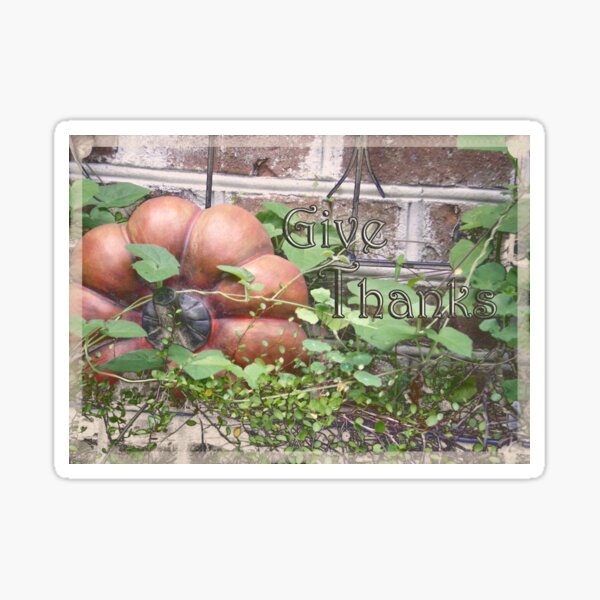 "Give Thanks" Thanksgiving Day Card Sticker