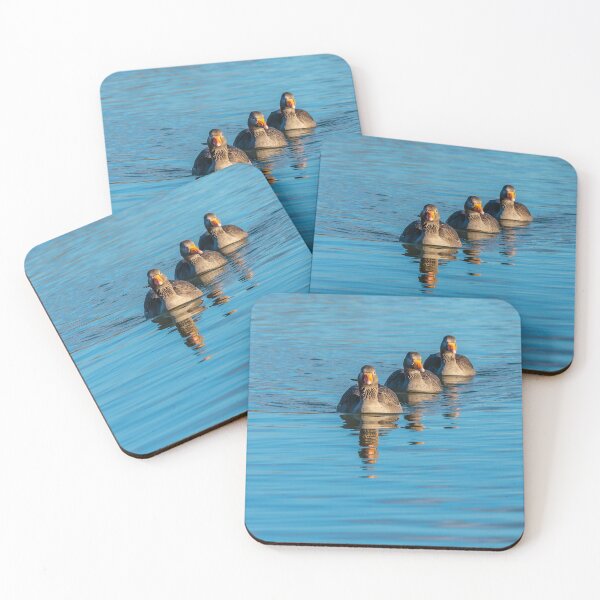 Item preview,  Follow the leader! designed and sold by Dalyndigital Photography.