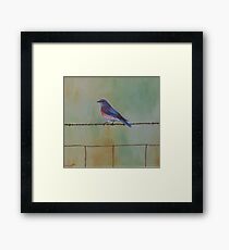 Wren on a wire Framed Print