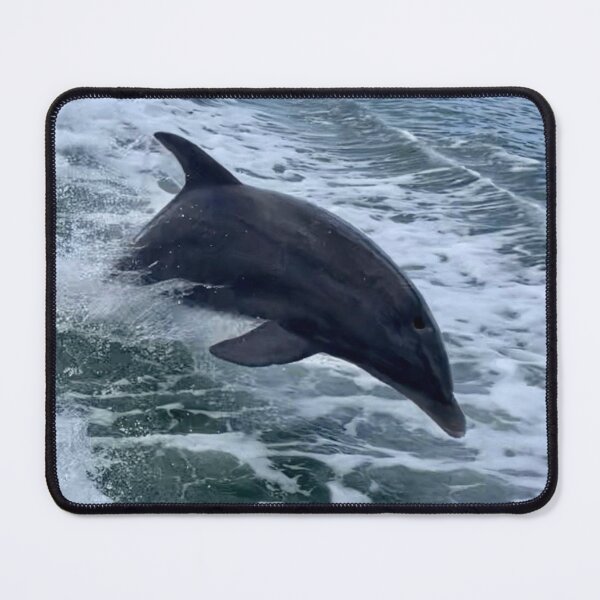 Item preview, Epic Diving Florida, Live Free And Dive Logo designed and sold by Artistability.