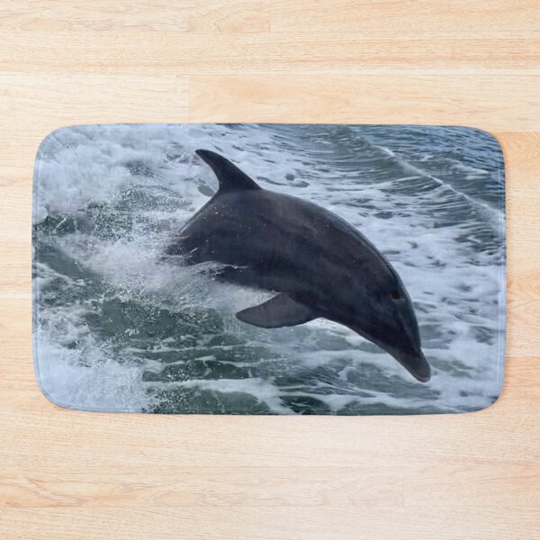 Item preview, Epic Diving Florida, Live Free And Dive Logo designed and sold by Artistability.