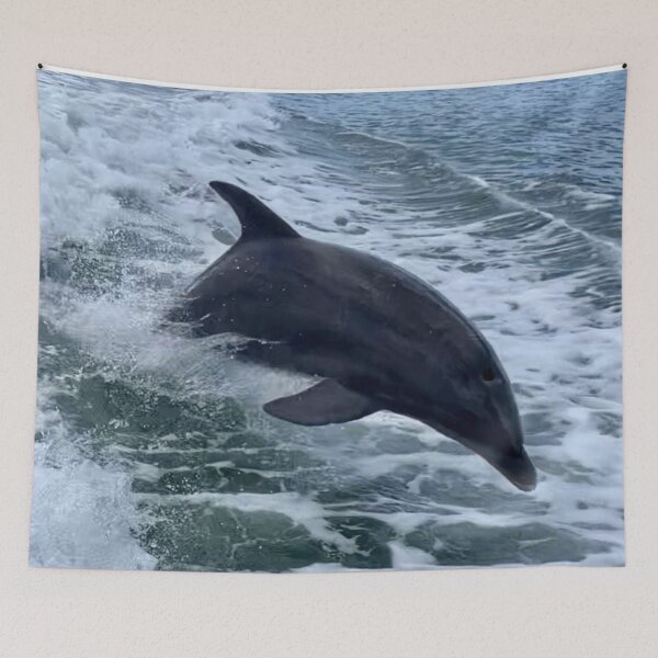 Item preview, Epic Diving Florida, Live Free And Dive Logo designed and sold by Artistability.