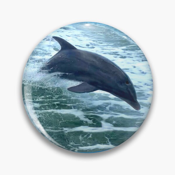 Item preview, Epic Diving Florida, Live Free And Dive Logo designed and sold by Artistability.