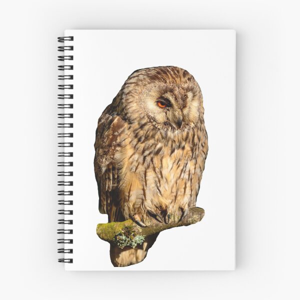 Item preview, Long-eared owl designed and sold by Dalyndigital Photography.