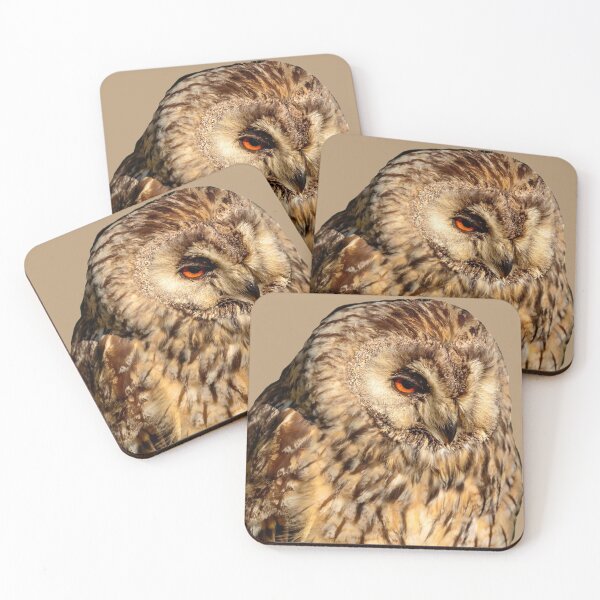Item preview, Long-eared owl designed and sold by Dalyndigital Photography.