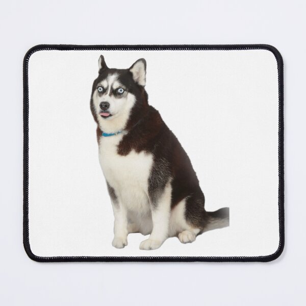 Item preview, Husky meme designed and sold by idkco.