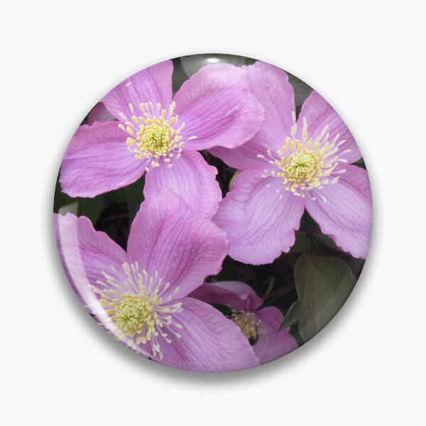 Item preview, clematis designed and sold by KathleenDawson.