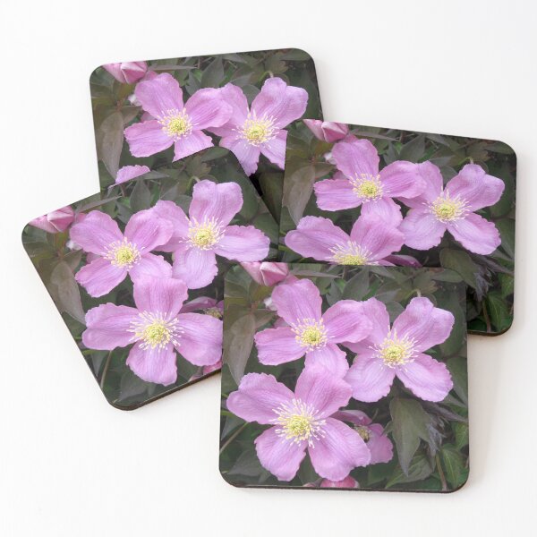 Item preview, clematis designed and sold by KathleenDawson.