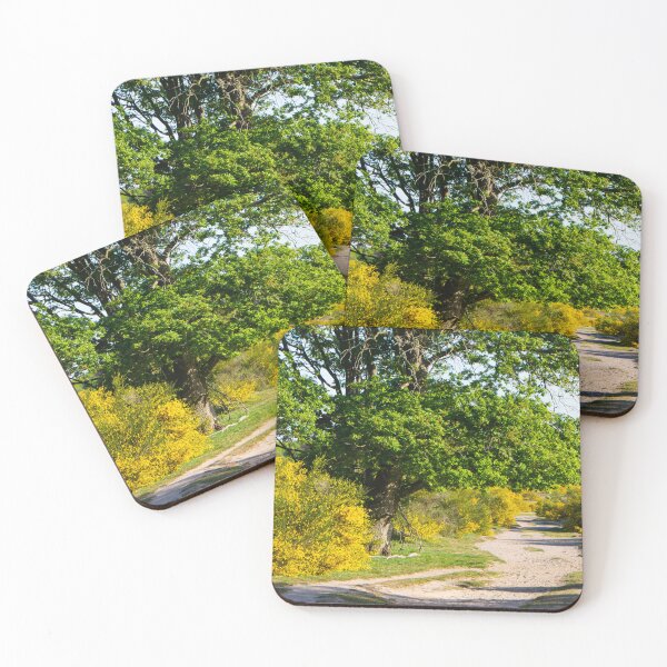Item preview, Strolling along the broom path designed and sold by jchanders.