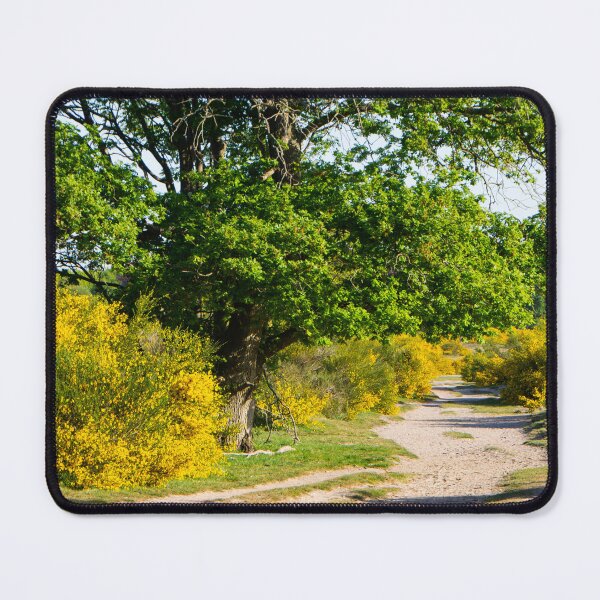 Item preview, Strolling along the broom path designed and sold by jchanders.