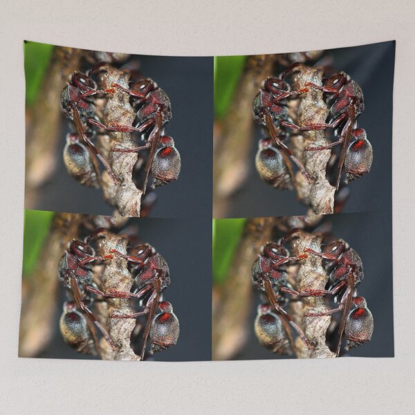 Item preview, Ropalidia revolutionalis  designed and sold by andrachne.