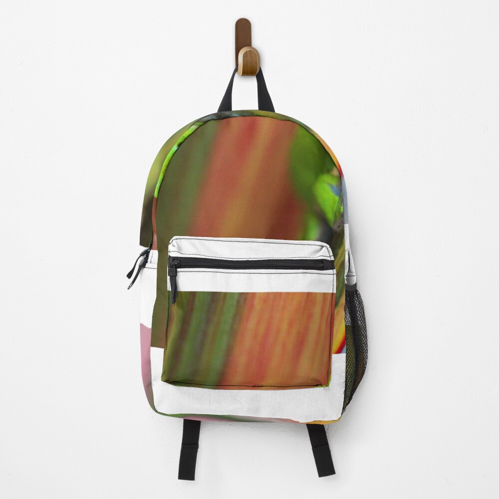 Vista previa del artículo con la obra «Mochila», diseñado y vendido por andrachne.