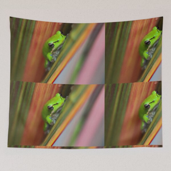 Item preview, Litoria fallax designed and sold by andrachne.