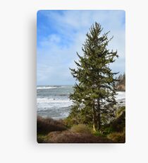 Trinidad State Beach, Trinidad, California Canvas Print