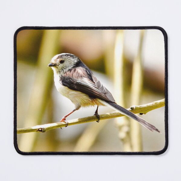 Item preview, “ Long Tailed In Long Shadows “ designed and sold by Richard Couchman.