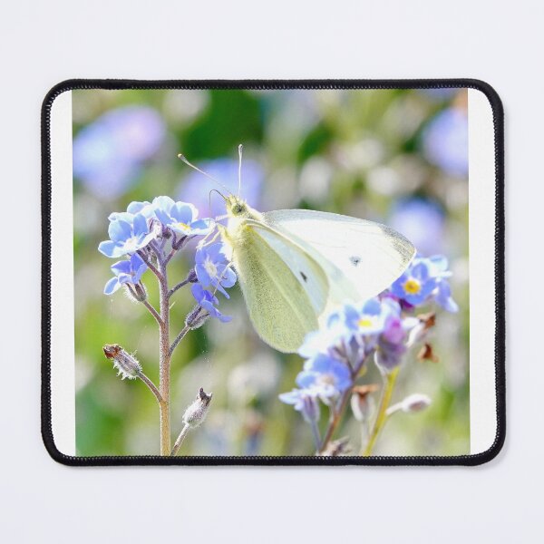 Item preview, “ Pastel Flutters “ designed and sold by Richard Couchman.