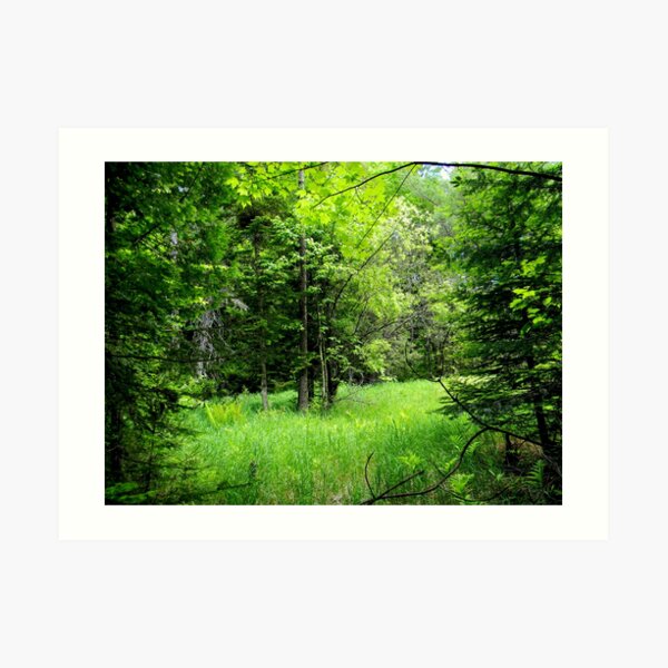 Finally Green ! Art Print