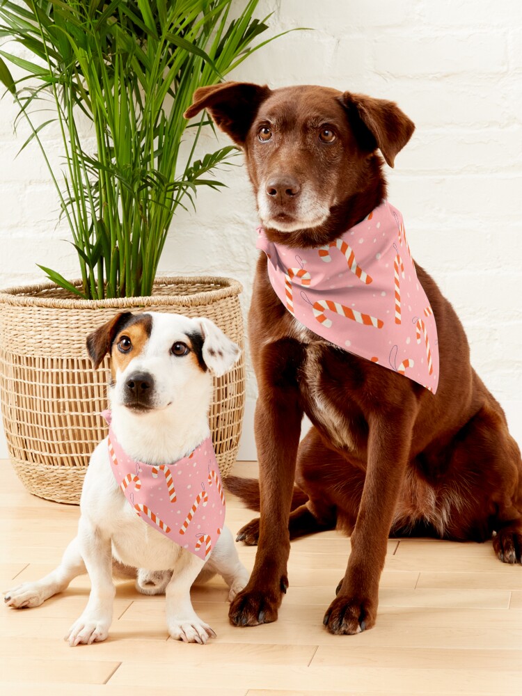 Alternate view of Candy cane pattern, pink and red Pet Bandana
