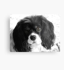 Puppy Love Metal Print