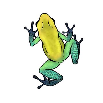 Artwork thumbnail, Phyllobates bicolor - Black-legged dart frog by porpoisefully