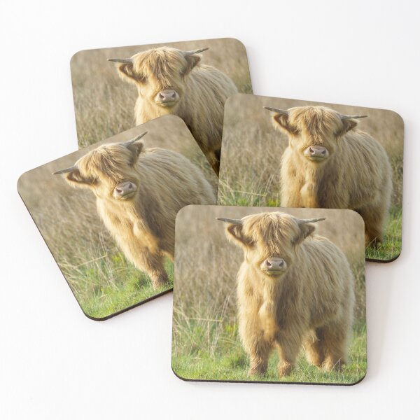 Item preview, Highland Cow designed and sold by rawshutterbug.