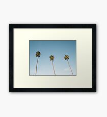 Three Palm Trees Blue Sky California Framed Print