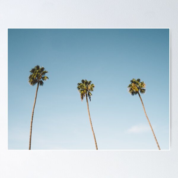 Item preview, Three Palm Trees Blue Sky California designed and sold by TravelDream.