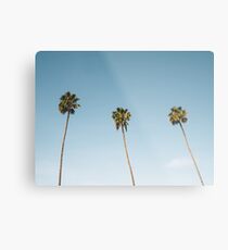 Three Palm Trees Blue Sky California Metal Print