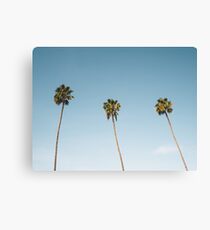 Three Palm Trees Blue Sky California Canvas Print