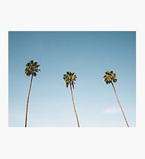 Three Palm Trees Blue Sky California Photographic Print