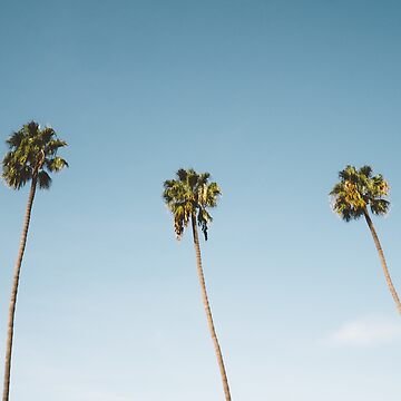 Artwork thumbnail, Three Palm Trees Blue Sky California by TravelDream