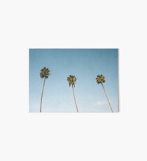Three Palm Trees Blue Sky California Art Board Print