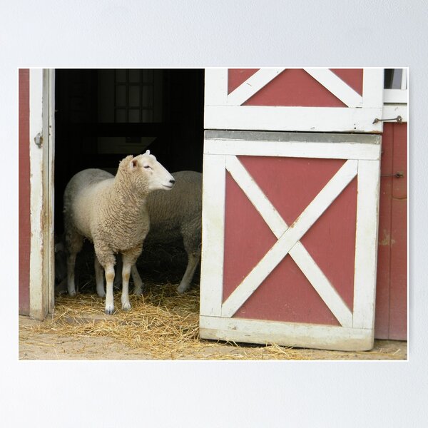 Item preview, Sheep designed and sold by Kathleen Brant.