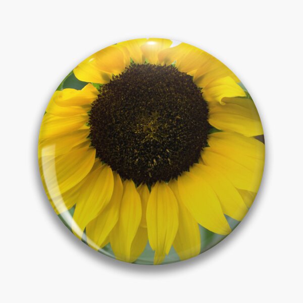 Item preview, One Splendid Sunflower - the Beautiful National Flower of Ukraine designed and sold by Georgia Mizuleva.