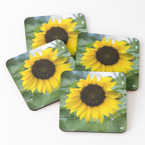 Item preview, One Splendid Sunflower - the Beautiful National Flower of Ukraine designed and sold by Georgia Mizuleva.