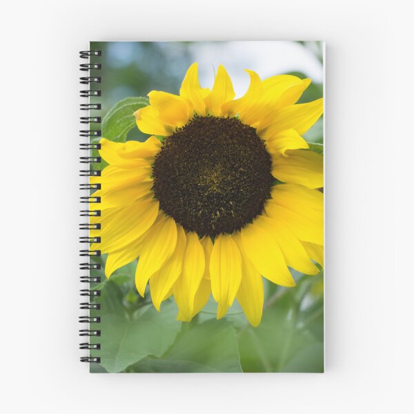 Item preview, One Splendid Sunflower - the Beautiful National Flower of Ukraine designed and sold by Georgia Mizuleva.