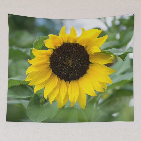 Item preview, One Splendid Sunflower - the Beautiful National Flower of Ukraine designed and sold by Georgia Mizuleva.