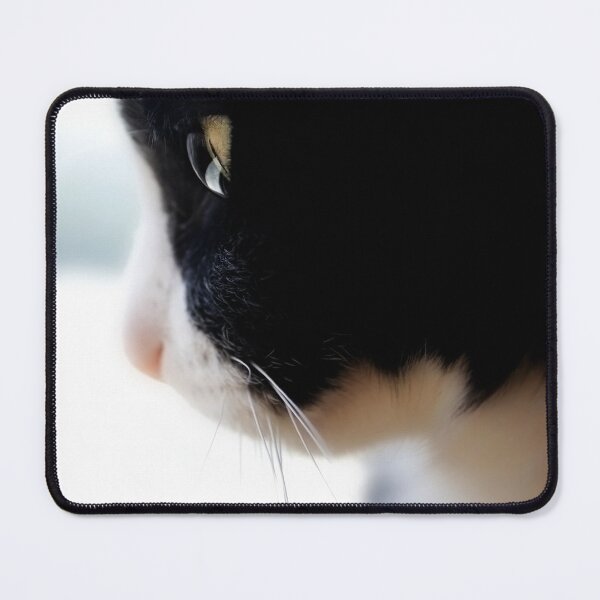 Item preview, Dreamy Cat portrait designed and sold by Ingrid Beddoes Photography.