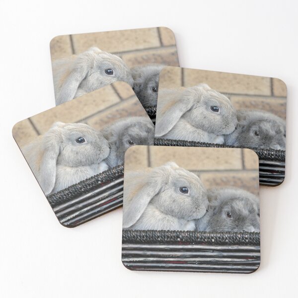 Item preview, Two Rabbits designed and sold by Rainbow Farm Photography.