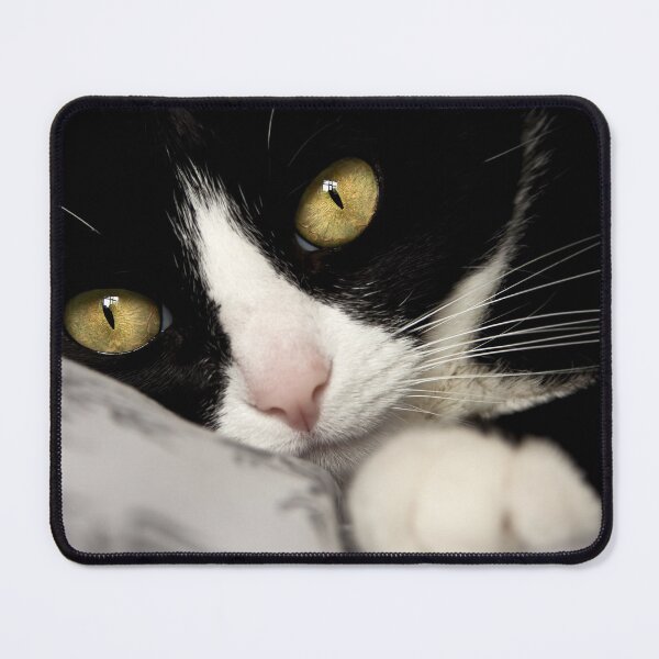 Item preview, Cat Portrait, Beautiful Cat, Cats Eyes, Whiskers, Kitty Love designed and sold by Ingrid Beddoes Photography.