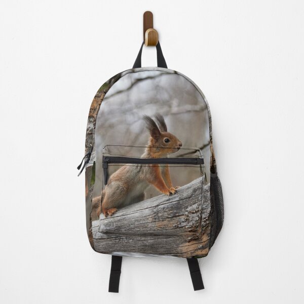 Item preview, Still in the winter colors. Red squirrel designed and sold by Jouko Lehto Photography.