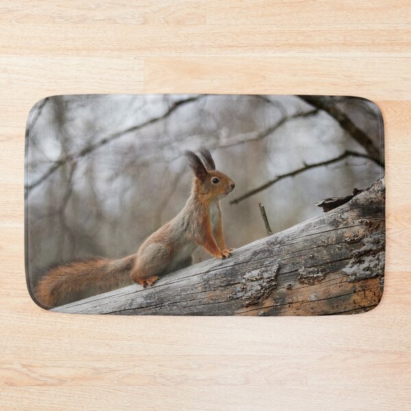 Item preview, Still in the winter colors. Red squirrel designed and sold by Jouko Lehto Photography.