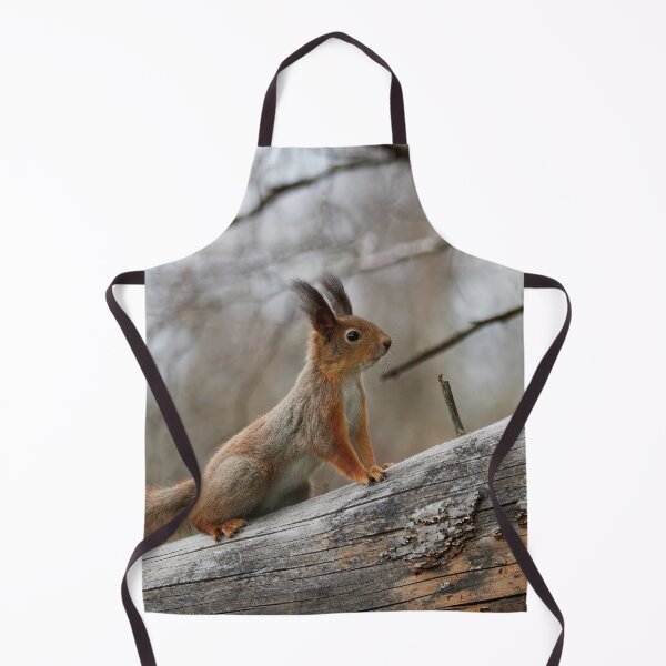 Item preview, Still in the winter colors. Red squirrel designed and sold by Jouko Lehto Photography.