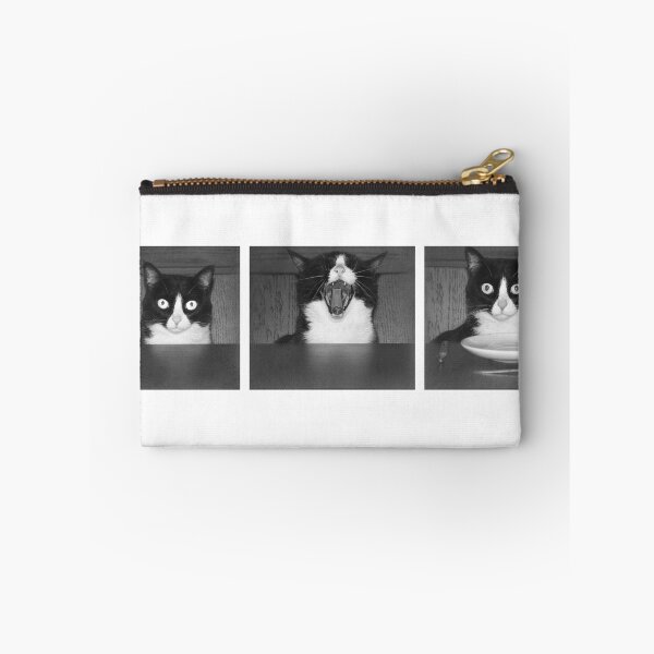Item preview, Cat - funny three hungry roaring kitties designed and sold by Ingrid Beddoes Photography.