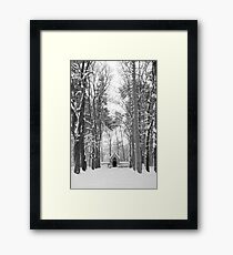 tomb Framed Print
