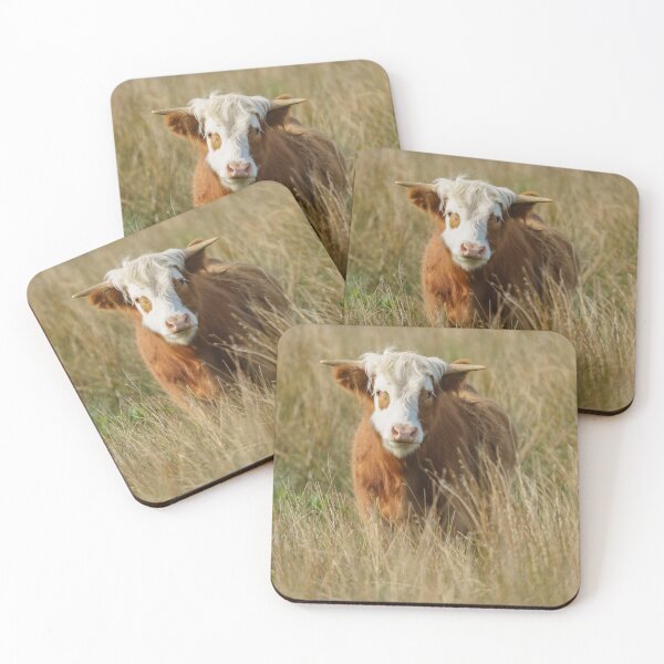 Item preview, White Head Highland Cow designed and sold by rawshutterbug.