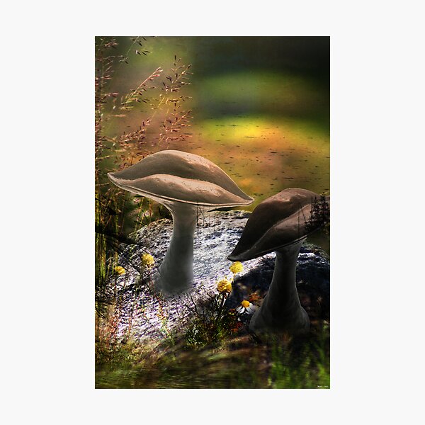 In Dream (from my exhibition) Photographic Print