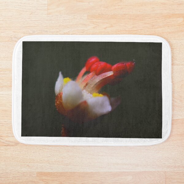 Item preview,  blanco crema designed and sold by andrachne.