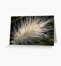Seedhead Greeting Card